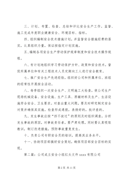 公司成立安全小组红头文件[范文大全].docx