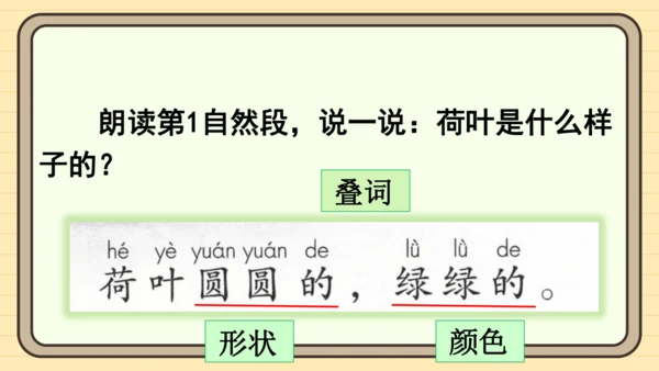 12 荷叶圆圆（课件）