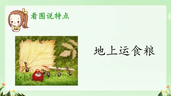 识字（二）5动物儿歌（课件）