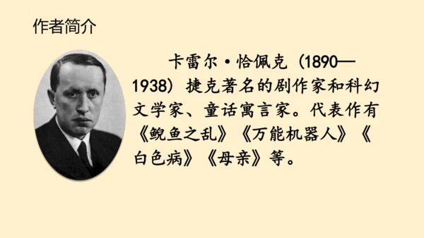 19牧场之国（课件）