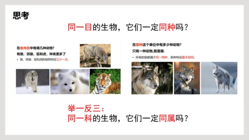 6.1.2+从种到界-【互动课堂】八年级生物上册精品课件（人教版）(共20张PPT)