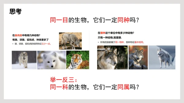 6.1.2+从种到界-【互动课堂】八年级生物上册精品课件（人教版）(共20张PPT)