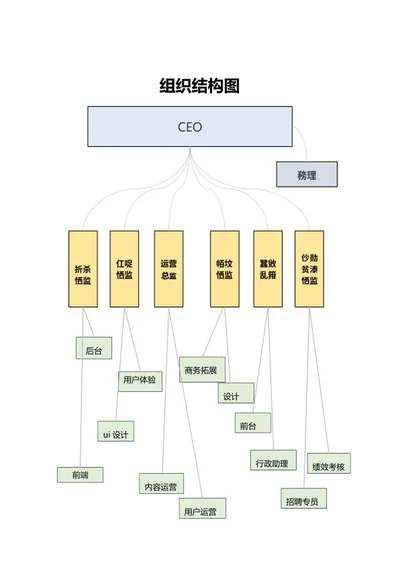 产品公司组织结构图word模板
