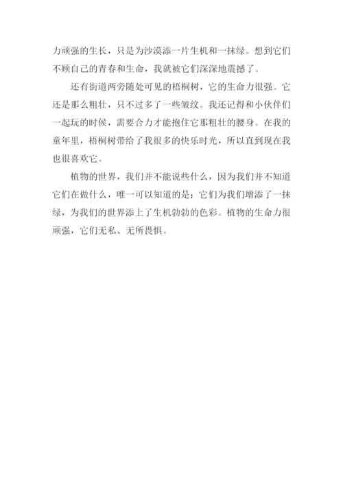 令人惊异的植物世界作文800字.docx