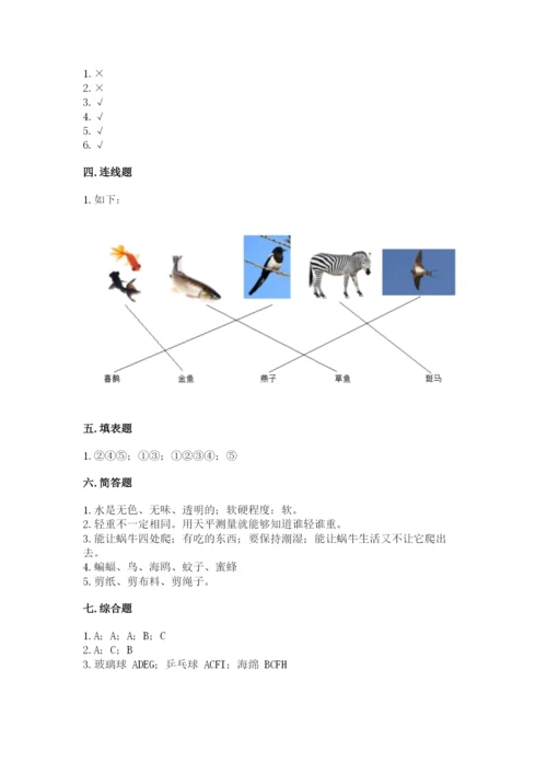 教科版小学科学一年级下册期末测试卷及参考答案1套.docx