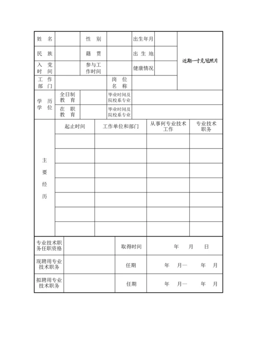 专业核心技术职务聘任实施专业方案.docx