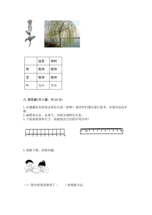 教科版一年级上册科学期末测试卷精品【能力提升】.docx