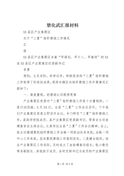 禁化武汇报材料 (4).docx