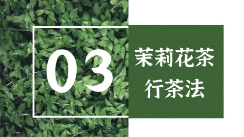 墨绿色中国风小清新茉莉花茶介绍PPT模板