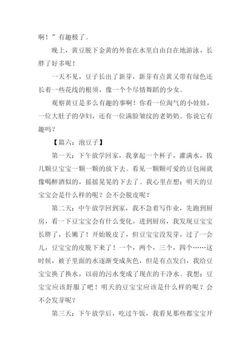 关于泡豆子的作文.docx
