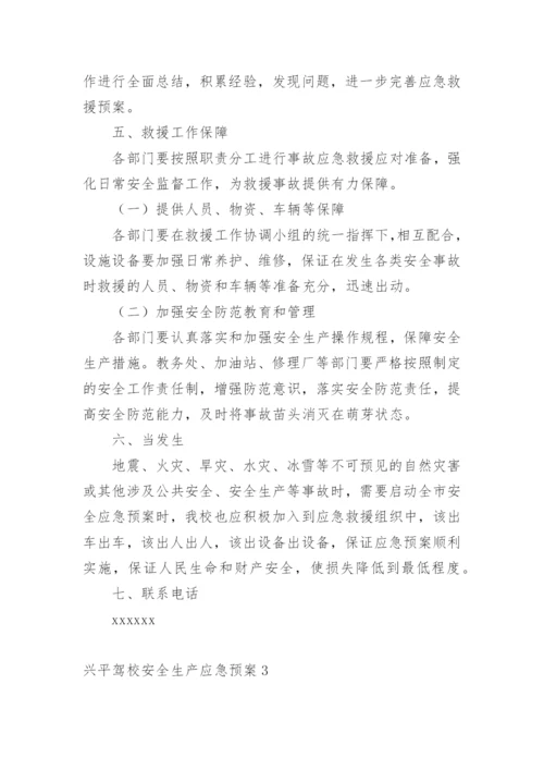 兴平驾校安全生产应急预案.docx