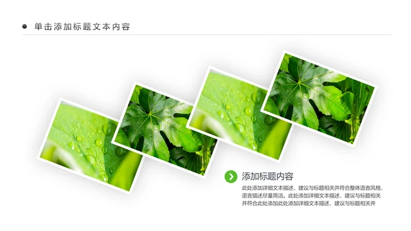 绿色清新植物生长敬畏生命成长励志PPT模板
