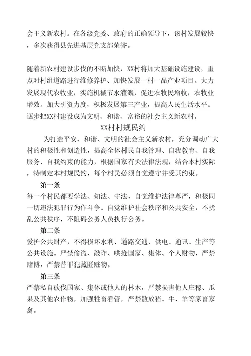 村文明材料汇编