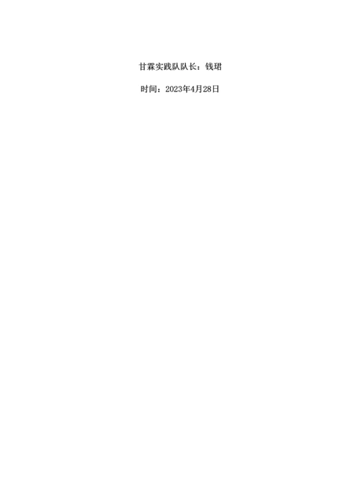 甘霖暑期社会实践队策划书.docx