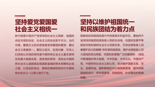红色党建党支部工作汇报计划PPT党课