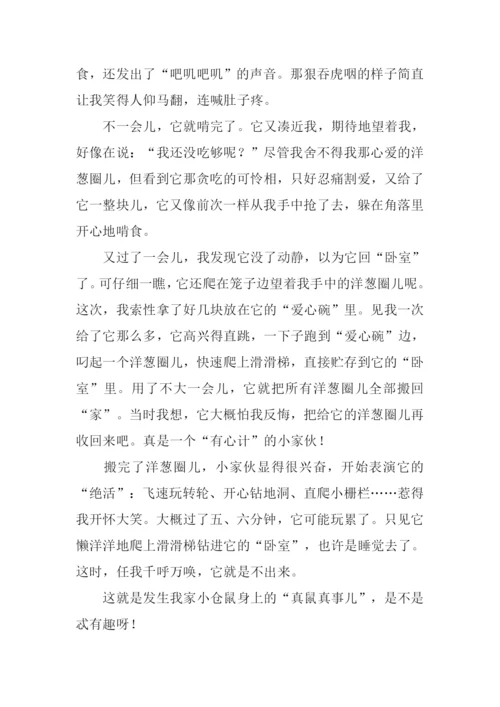 一件有趣的事作文600字.docx