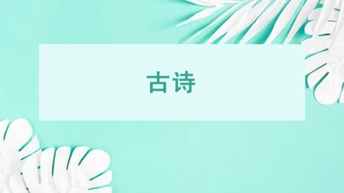 第一单元 复习课件(共75张PPT)