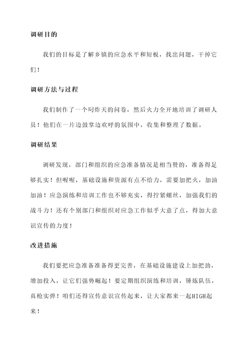 乡镇应急水平调研工作汇报