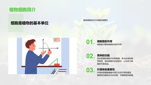 植物生命之旅