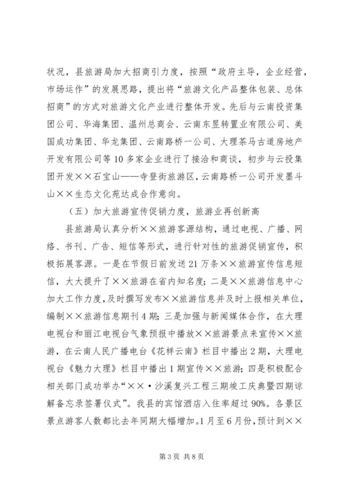 旅游事业局上半年工作总结及下半年工作计划计划.docx