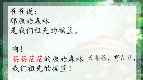 23祖先的摇篮 课件