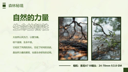 绿色简约风摄影师个人作品集PPT模板