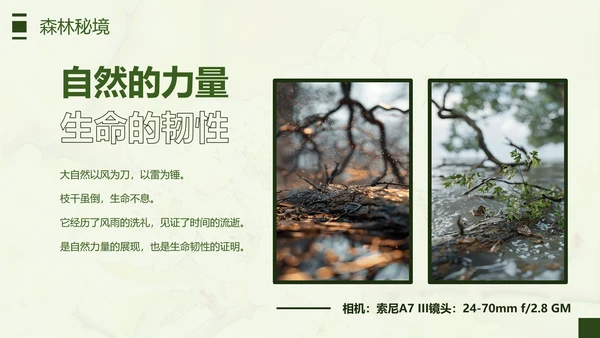绿色简约风摄影师个人作品集PPT模板