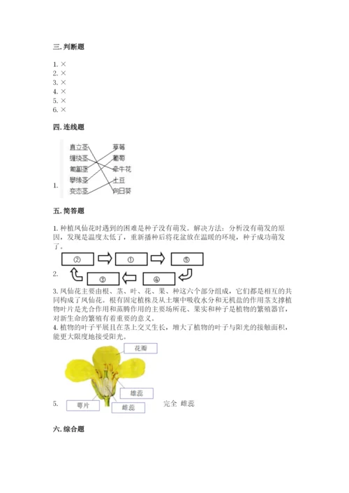 科学四年级下册第一单元《植物的生长变化》测试卷【必刷】.docx