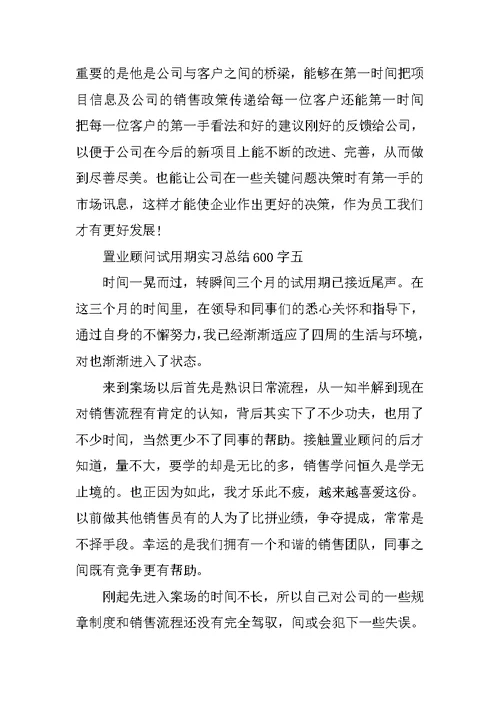 置业顾问试用期实习总结600字