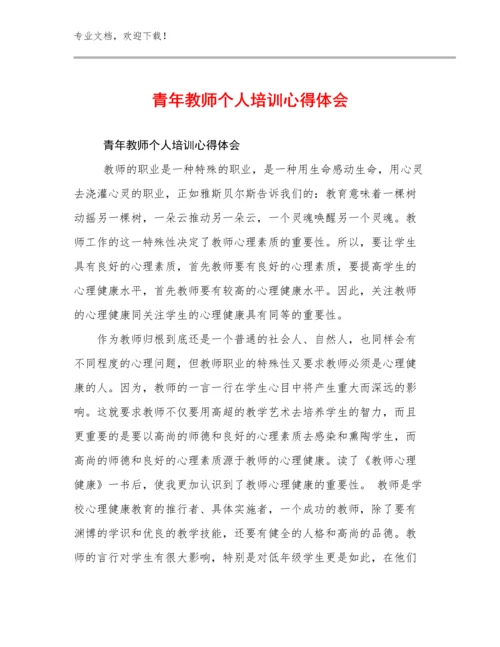 2024青年教师个人培训心得体会例文21篇.docx