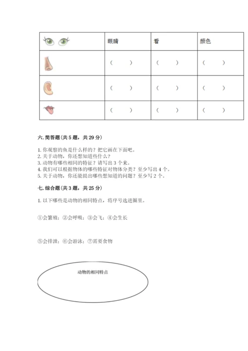 教科版小学科学一年级下册期末测试卷精品（全优）.docx