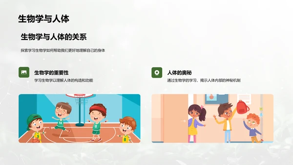 人体系统协作讲座PPT模板