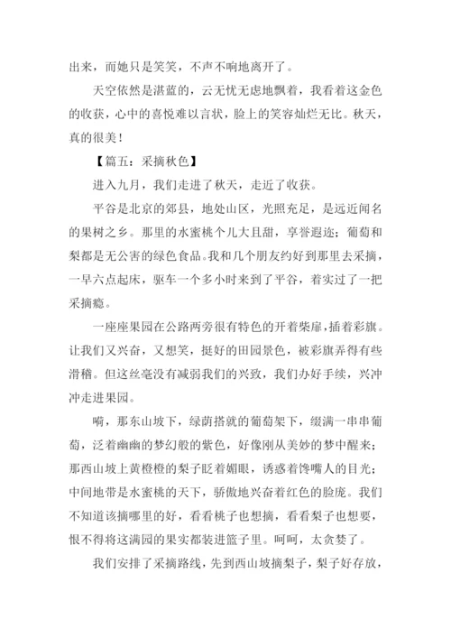 采撷作文00.docx