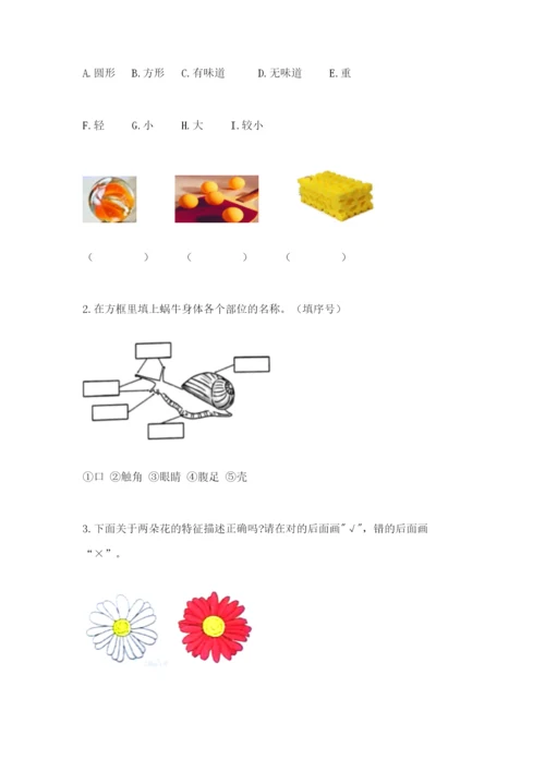 教科版一年级下册科学期末测试卷及完整答案（夺冠系列）.docx