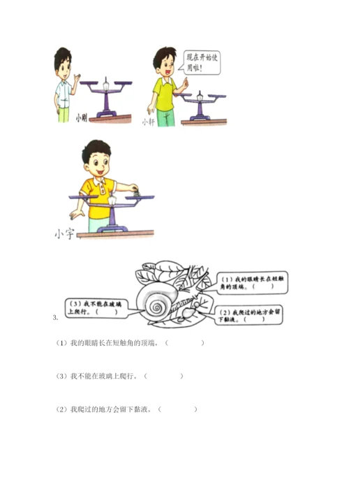 教科版一年级下册科学期末测试卷及参考答案【典型题】.docx