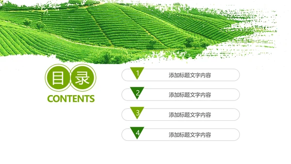 茶具茶叶绿茶白茶红茶黑茶茶文化茶厂PPT