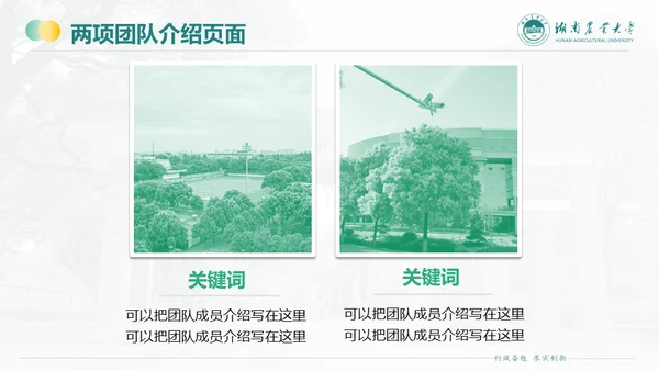 湖南农业大学毕业课题答辩通用PPT模板