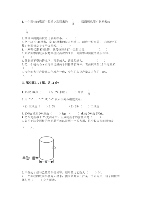 北京版六年级下册数学期中测试卷精品加答案.docx