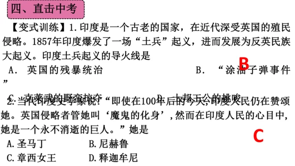 第一单元 殖民地人民的反抗与资本主义制度的扩展（单元复习课件）-2023-2024学年九年级历史下册