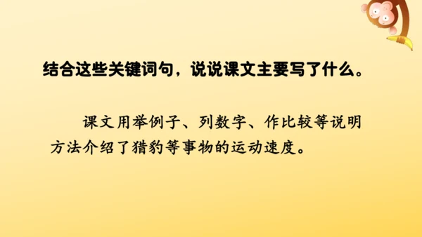 7 什么比猎豹的速度更快    课件