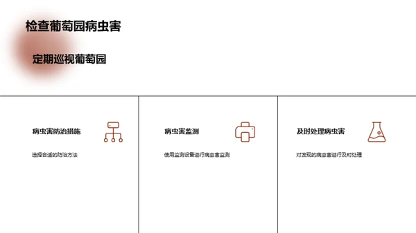 葡萄种植升级指南