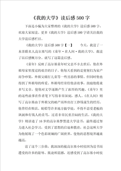 我的大学读后感500字