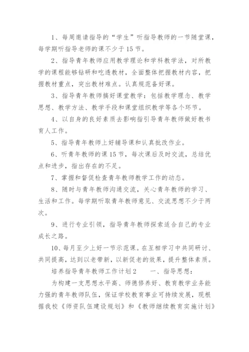 培养、指导青年教师工作计划.docx