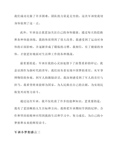 军训小梦想的感言