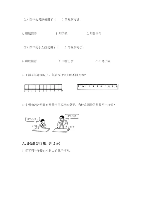 教科版一年级上册科学期末测试卷【b卷】.docx
