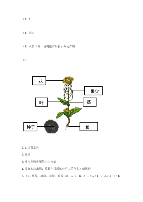 科学四年级下册第一单元植物的生长变化测试卷及完整答案（历年真题）.docx