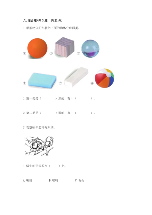 教科版一年级下册科学期末测试卷及答案（最新）.docx
