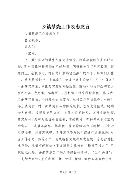 乡镇禁烧工作表态讲话.docx
