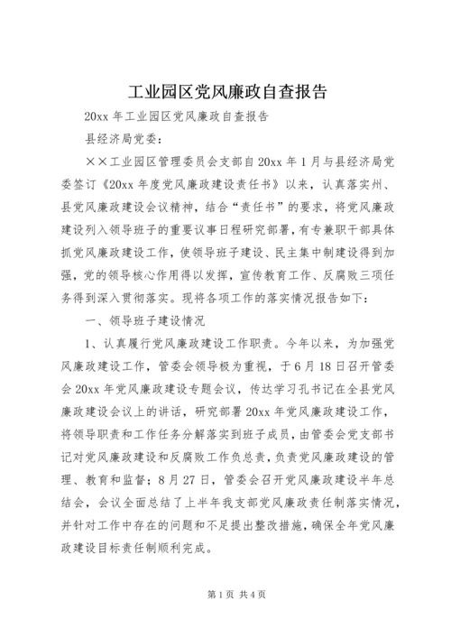 工业园区党风廉政自查报告.docx