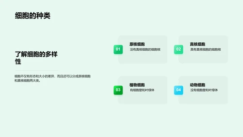 细胞结构与功能解析
